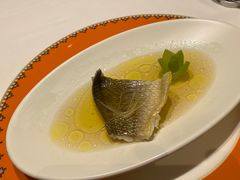 酒香蒸鲥鱼-鹿园 MOOSE(长宁店)