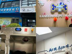-康成宠物医院24H·CT·核磁共振