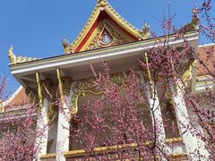 -洛阳白马寺