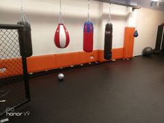 -体育科代表搏击散打体能训练馆(陶然亭店)