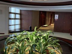-洪湖悦兮半岛国际温泉度假村