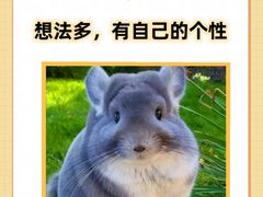 -博特宠物医院24h犬猫全科.骨科·异宠