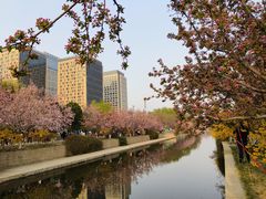 -海棠花溪(元大都城垣遗址公园)