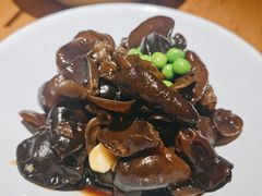 爽口木耳-金牌外婆家(苏州中心店)