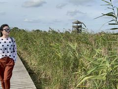 -盐城丹顶鹤湿地生态旅游区