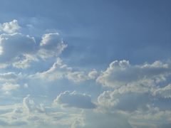 -楼外楼(西湖景区孤山路店)