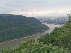 -铁山坪森林公园