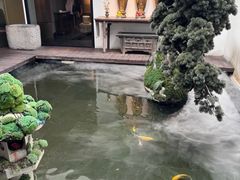-觀芷隐轩