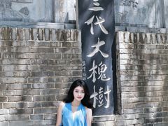 -大槐树寻根祭祖园