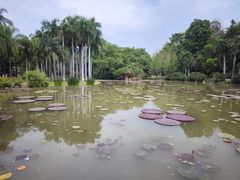 -中国科学院西双版纳热带植物园
