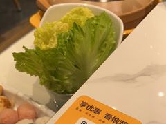 -润园四季椰子鸡火锅(欢乐海岸店)