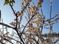 -广州市流溪河国家森林公园