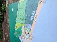 -日照海滨国家森林公园