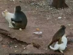 -昆明动物园