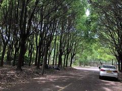 -胜华驾校·小猫学车(银都店)