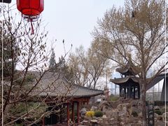 -碑林公园