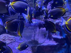 -成都浩海立方海洋公园