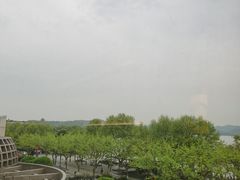 -杭州君悦酒店