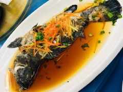 清蒸石斑鱼-长城海鲜餐厅