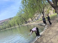 -黄河小浪底水利枢纽风景区