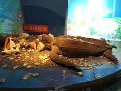 -苏州海洋馆