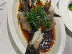 -新雅粤菜馆(南京东路店)