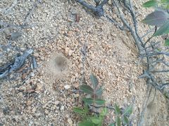 -龙口南山旅游景区