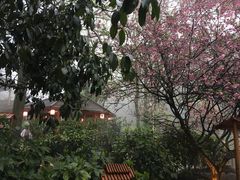 -黄山温泉国际旅游度假区