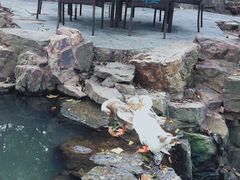 -兴福老面馆(寺路街店)