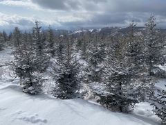 -密苑云顶乐园(云顶滑雪场)