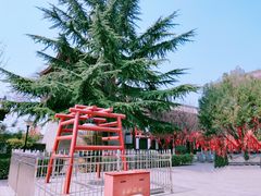 -西安青龙寺遗址景区