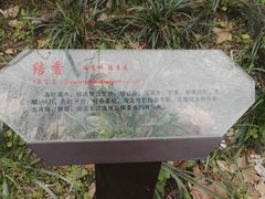 -万达影城(闵行颛桥万达广场杜比影院店)