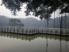 景点-西樵山风景名胜区-天湖公园