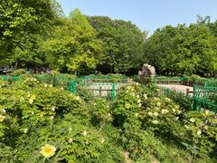 -河南省黄河迎宾馆