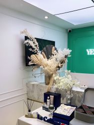 -YESIDO椰岛美容