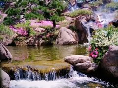 -罗红摄影艺术馆