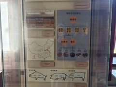 -北京动物园-畅观楼