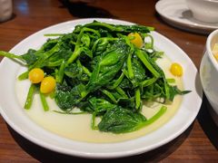 银杏豌豆尖-眉州东坡·熊猫主题餐厅(枫蓝店)