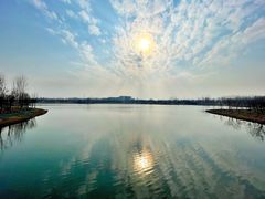 -东郊湿地公园