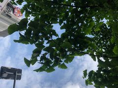 -全家便利店(愚园店)