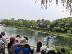 -新江湾城公园