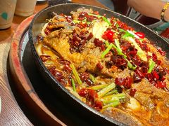 -老板恋上鱼(高新万达店)