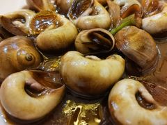 -上海阿潘舟山海鲜店(东宝兴路店)