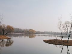 -东郊湿地公园