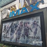 上海攻略|华丽丽的出游