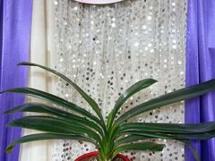 -茗蒸颜顺汗蒸美容养生馆(北景园店)