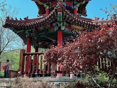 -大连植物园