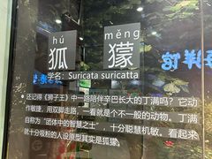 -梦幻海洋王国(吾悦广场张家港店)