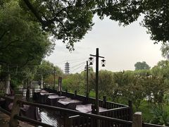 -乌镇景区