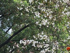 -江宁路街道社区文化活动中心